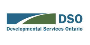 DSO logo