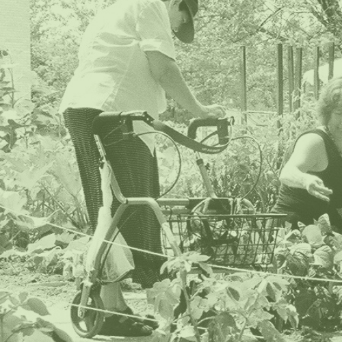 Community Garden