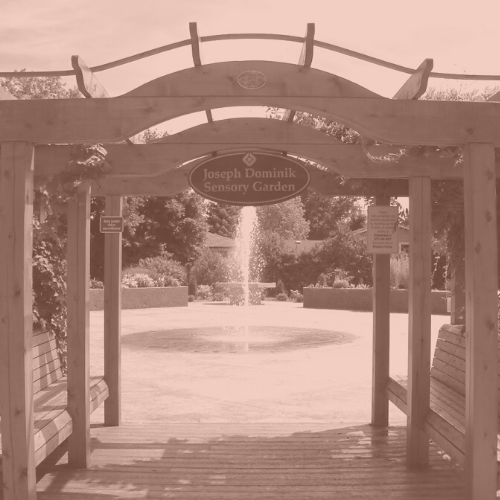 Joseph Dominik Sensory Garden